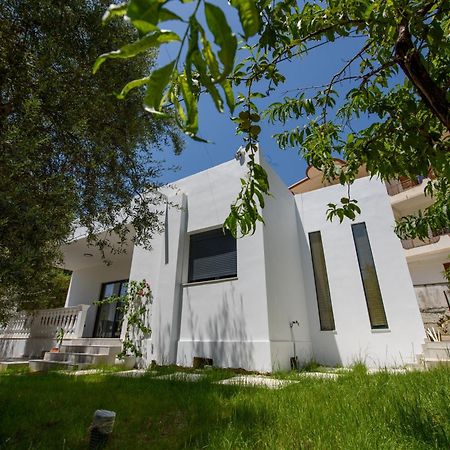 Olivium Rooms Vlorë Εξωτερικό φωτογραφία