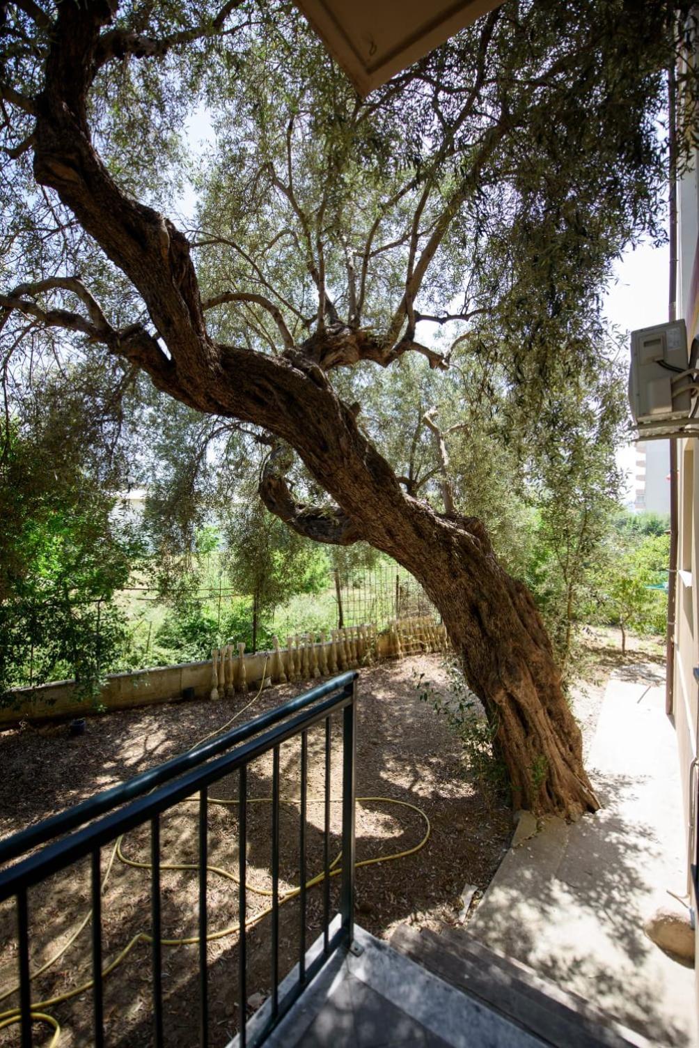 Olivium Rooms Vlorë Εξωτερικό φωτογραφία