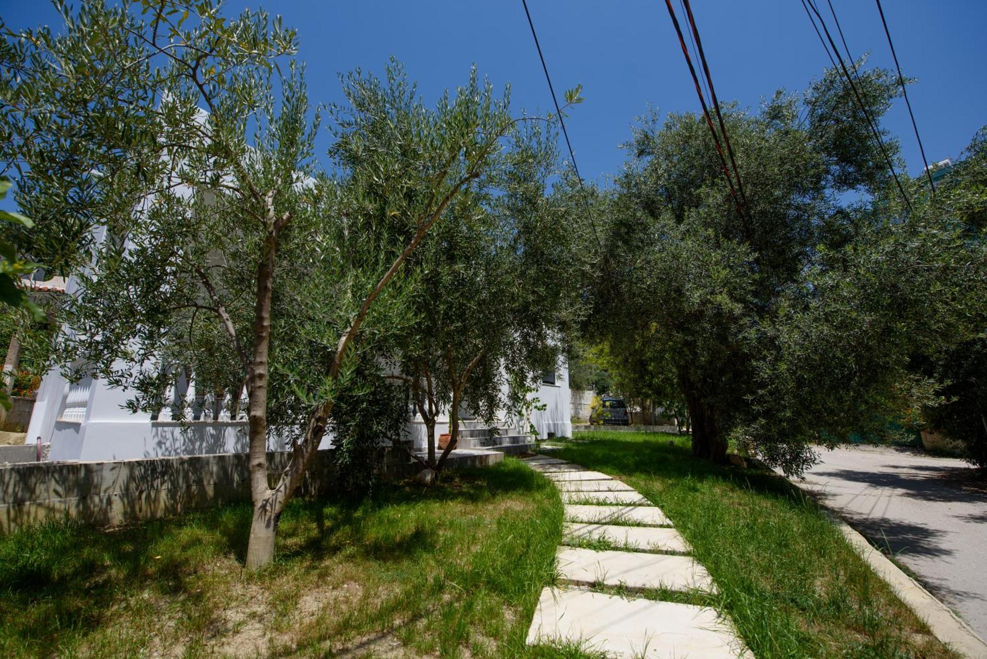 Olivium Rooms Vlorë Εξωτερικό φωτογραφία